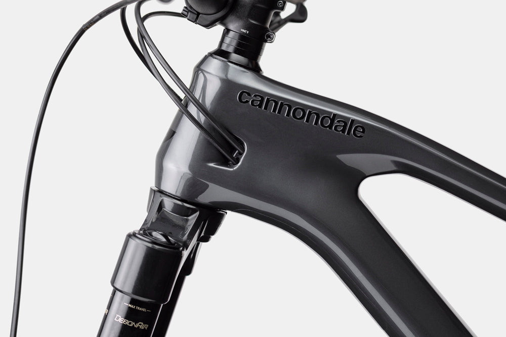 Cannondale Jekyll 2 Grey HT