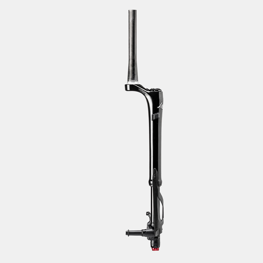 Cannondale lefty hot sale 29er fork sale